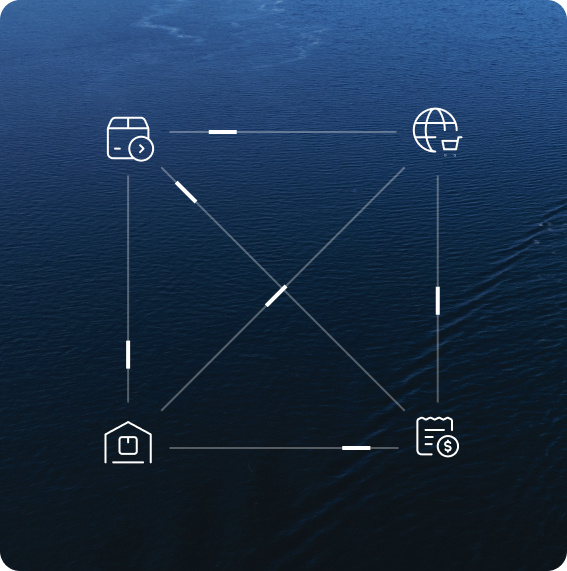 Customs And Compliance Connectivity